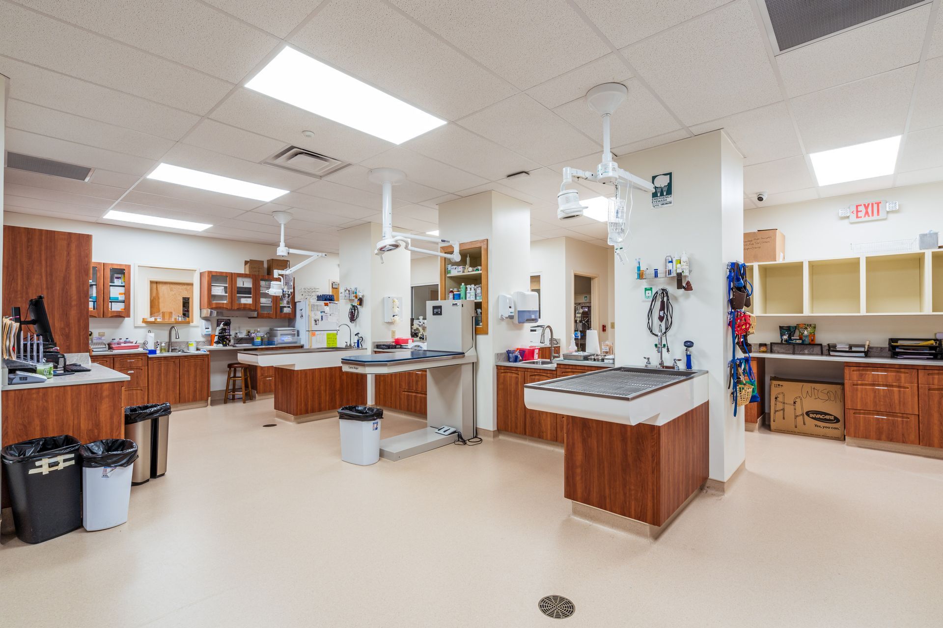 Pamlico Animal Hospital 