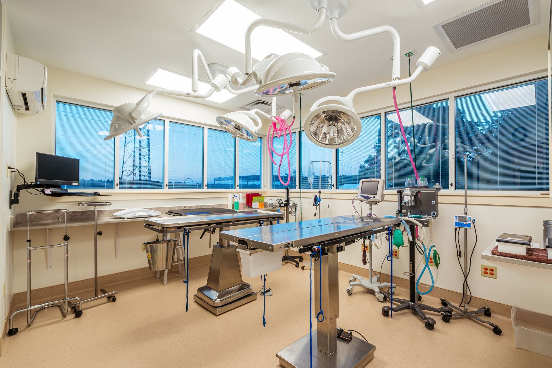 Pamlico Animal Hospital 