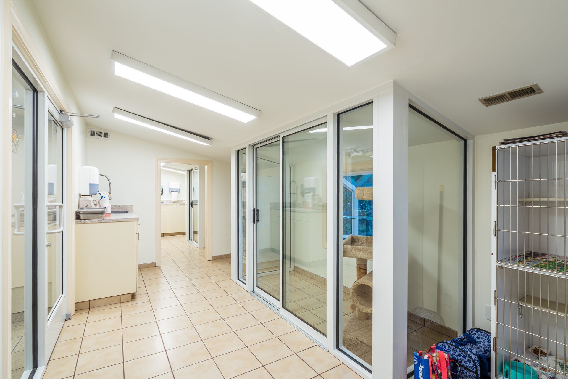 Pamlico Animal Hospital 