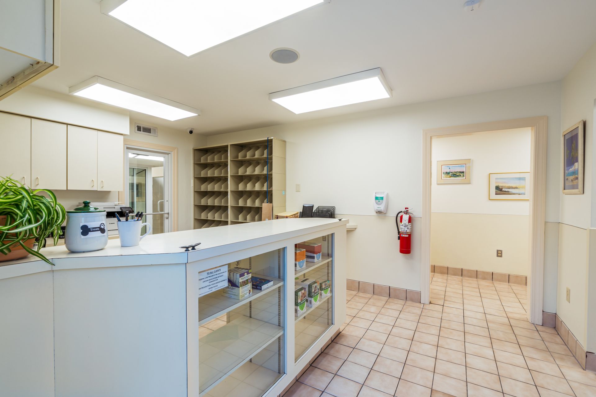 Pamlico Animal Hospital 