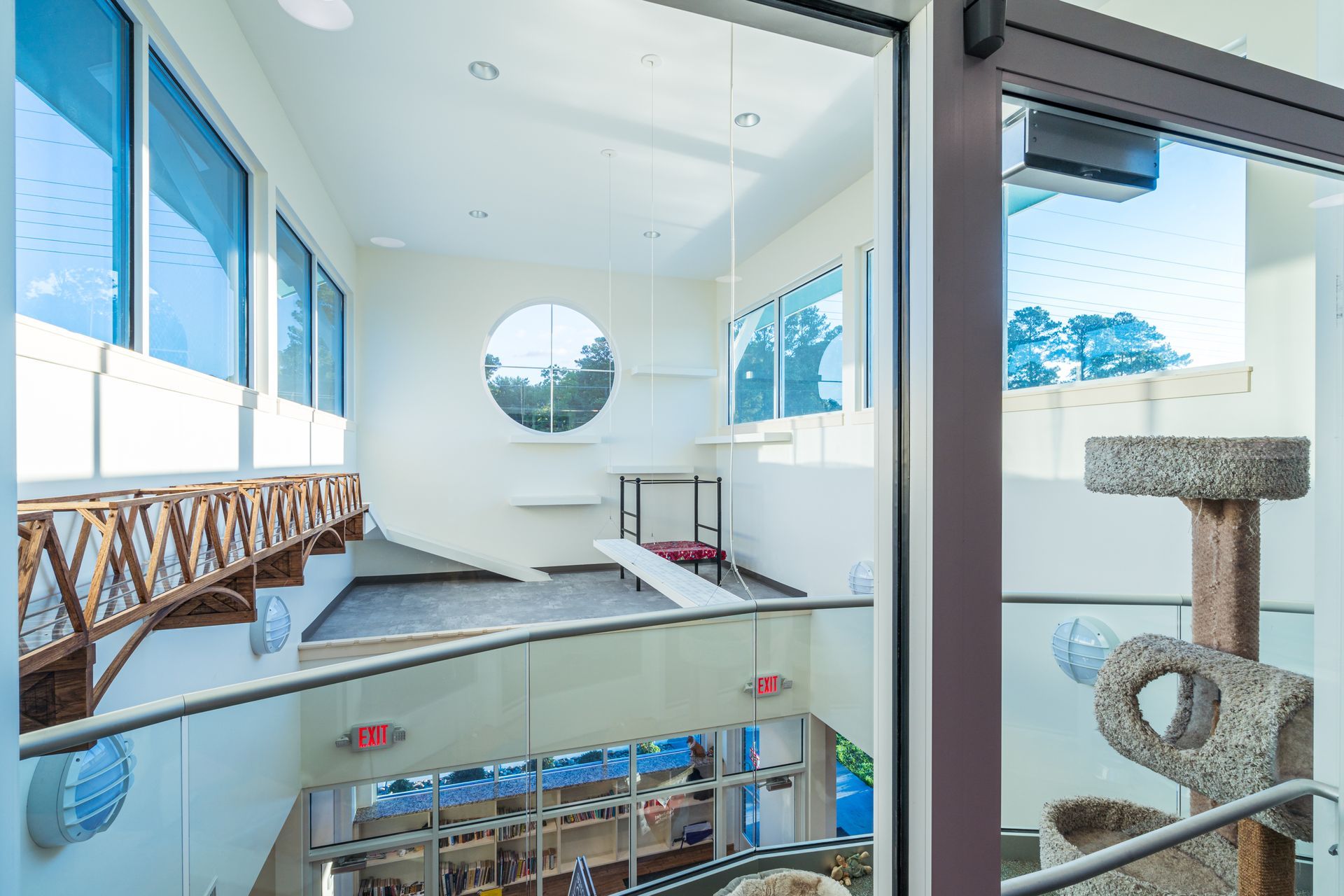 Pamlico Animal Hospital 