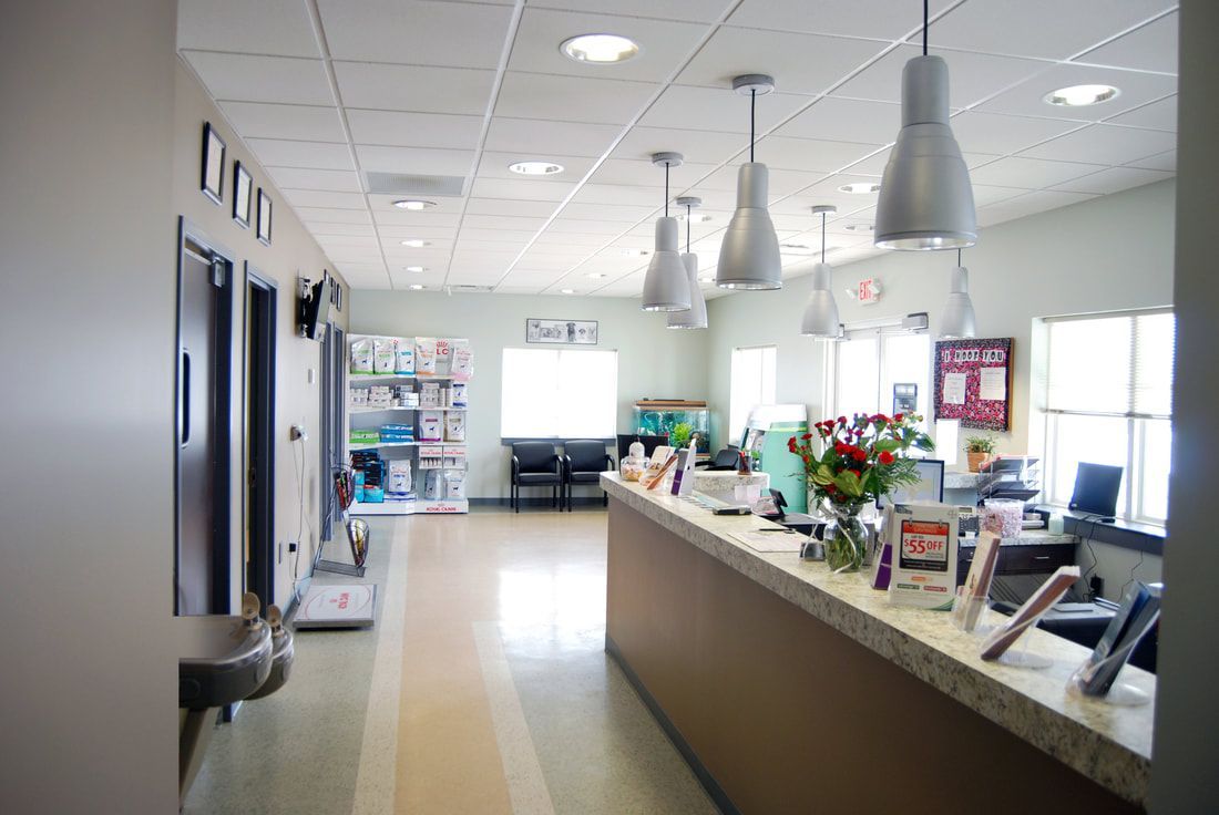 All About Animals Veterinary Clinic
