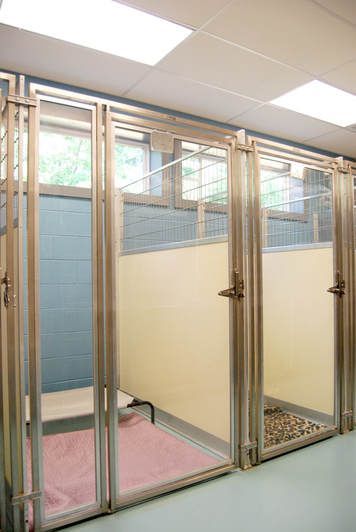 All About Animals Veterinary Clinic
