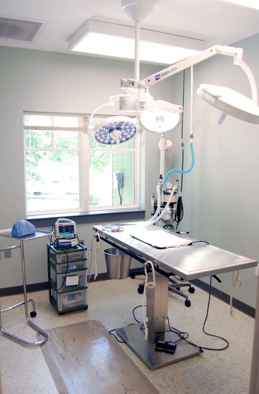 All About Animals Veterinary Clinic
