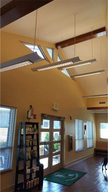 Animal Medical Clinic