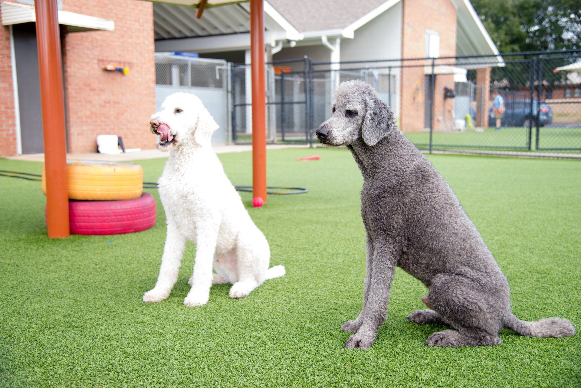 Cobbs Ford Pet Health Center
