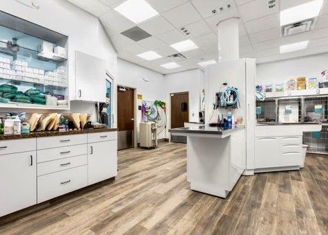 Veterinary Hospital Design