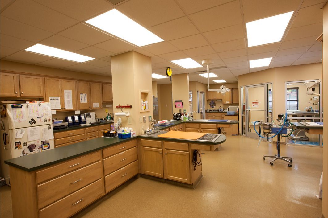 Royston Animal Hospital