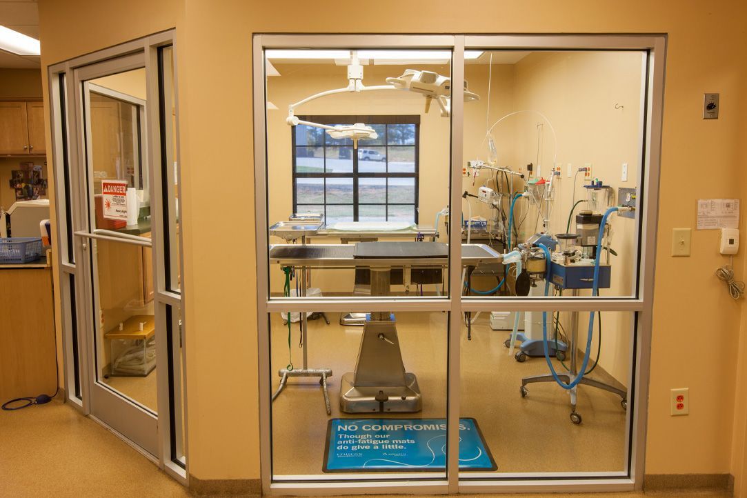 Royston Animal Hospital