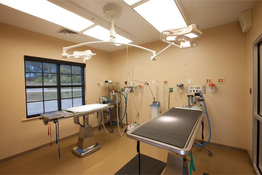 Royston Animal Hospital