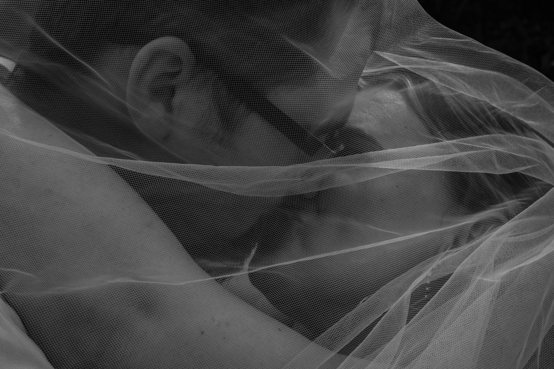 Person's face and shoulder partially obscured by a delicate, patterned white netting. Black and white.
