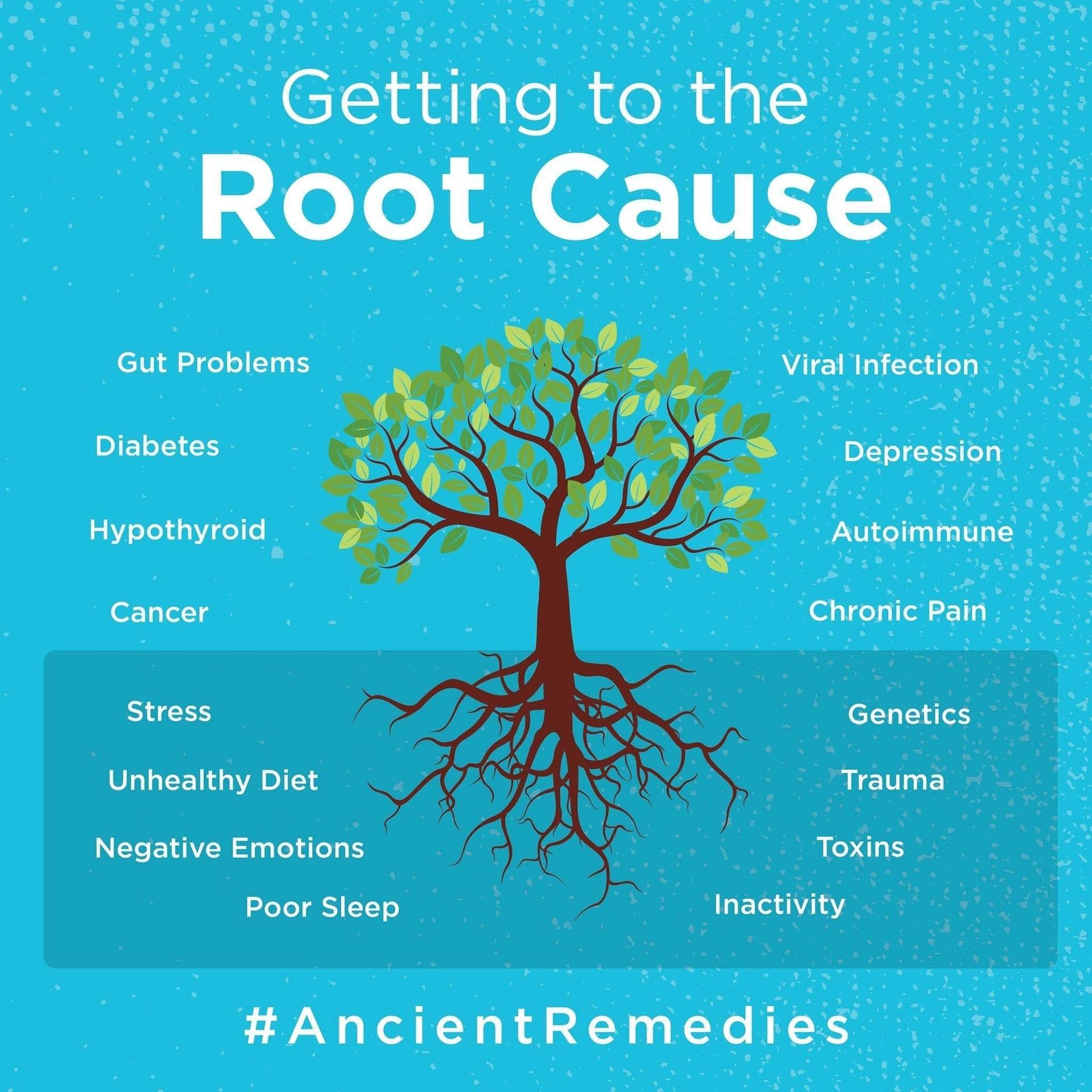 find the root functional Medicine greensburg PA