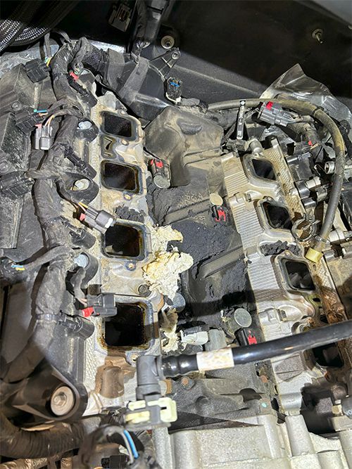 mechanic finds rodent damage to engine wiring harness