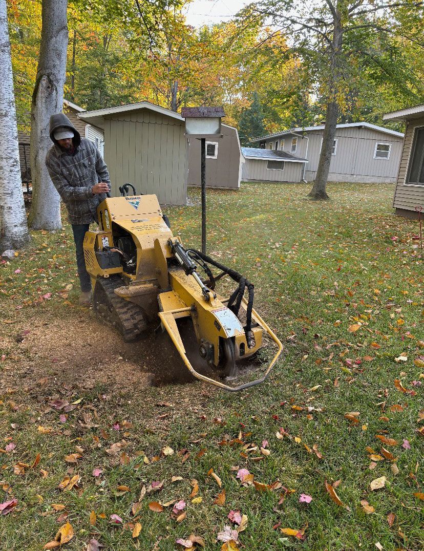 A man is standing next to a tree stump grinder in a yard.