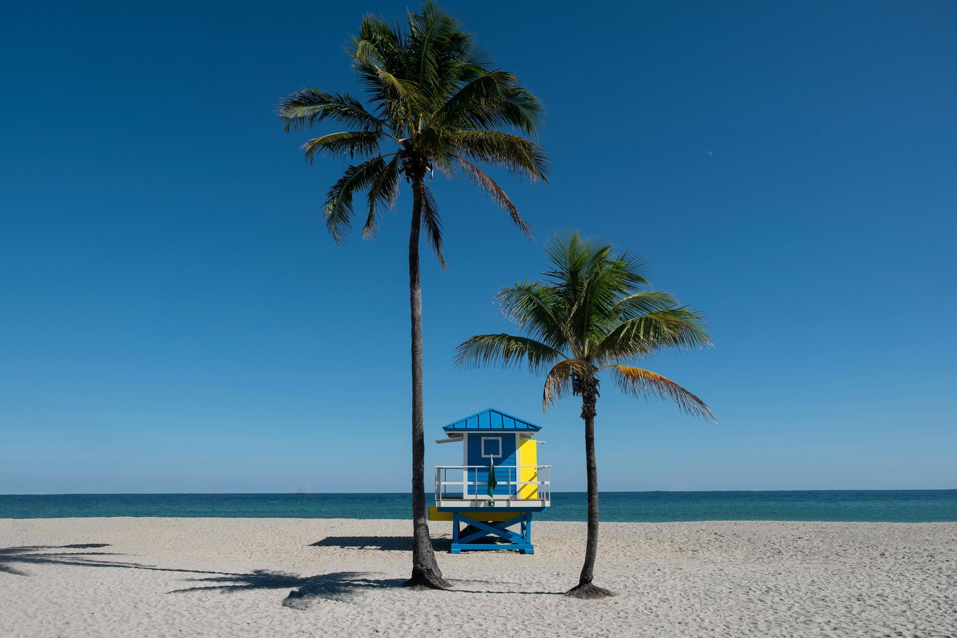 A blue and yellow lifeguard tower is between two palm trees on a beach.