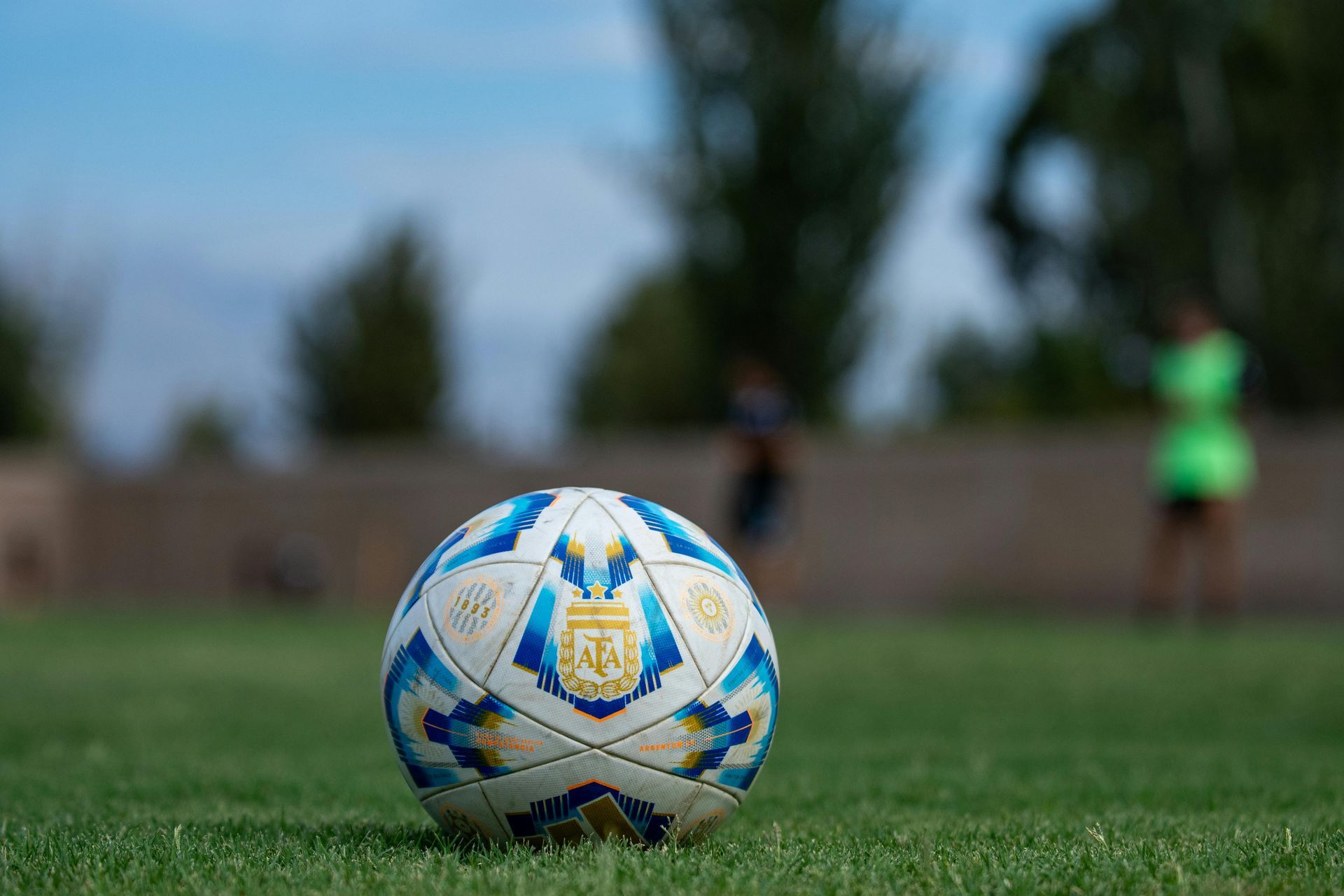 A soccer ball is sitting on top of a lush green field.