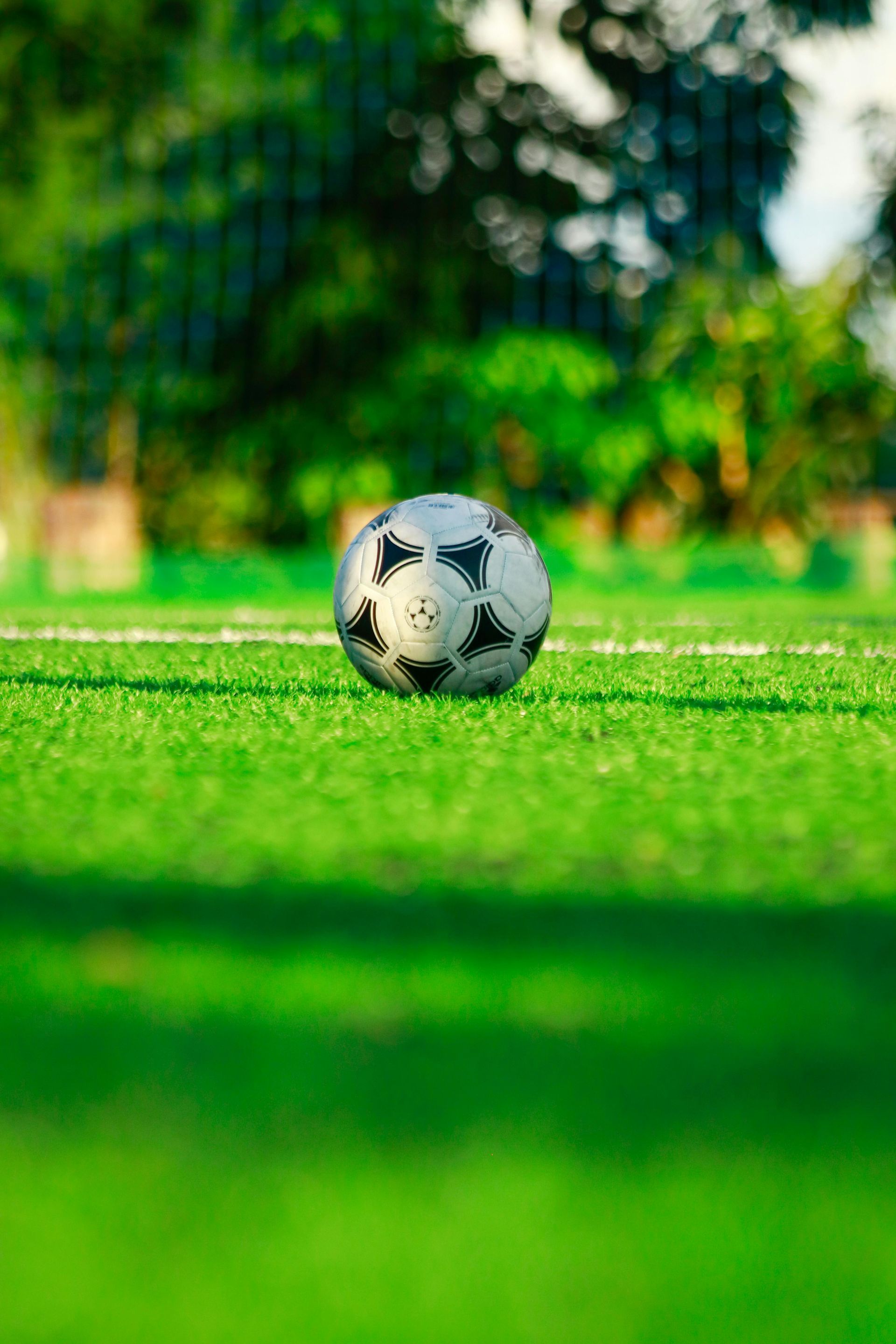 A soccer ball is sitting on top of a lush green field.