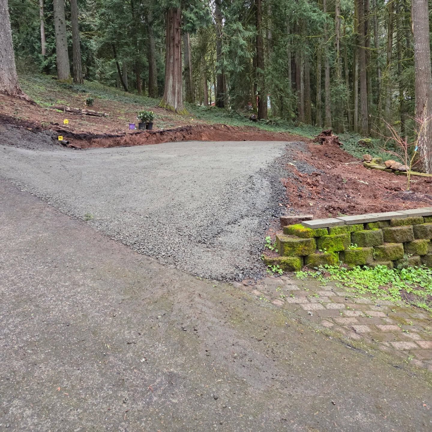 A dirt road going through a forest next to a stone wall.
