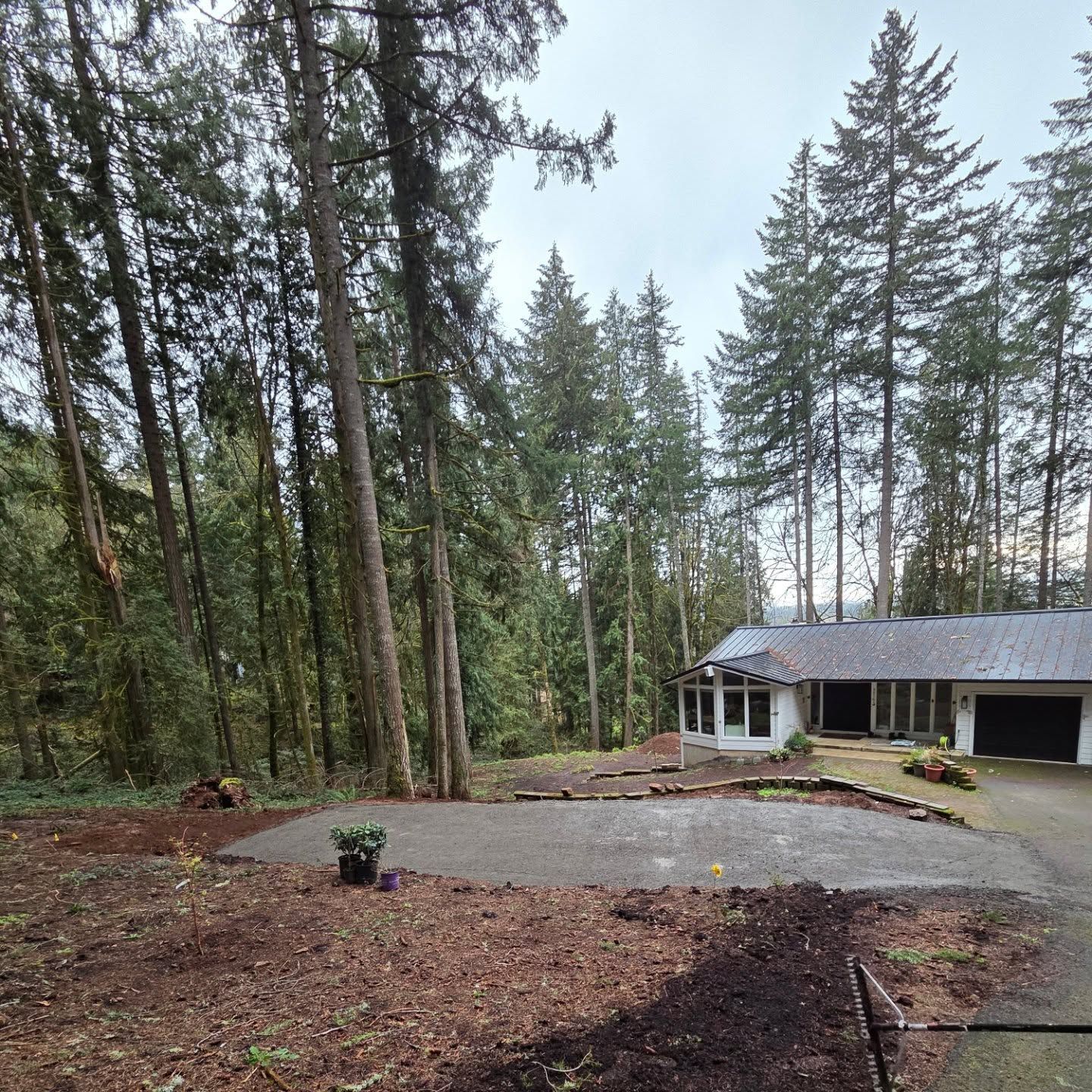 A house is surrounded by trees and a concrete driveway
