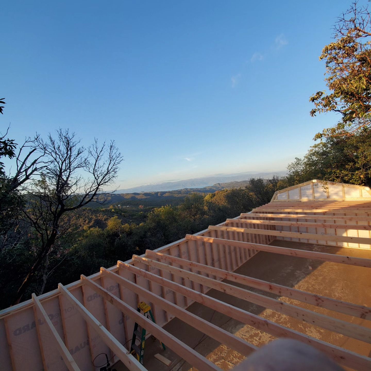 A roof that is being built with a view of a forest