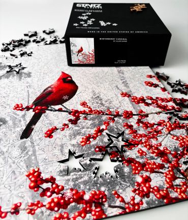 Starz Puzzles - Alan Giana