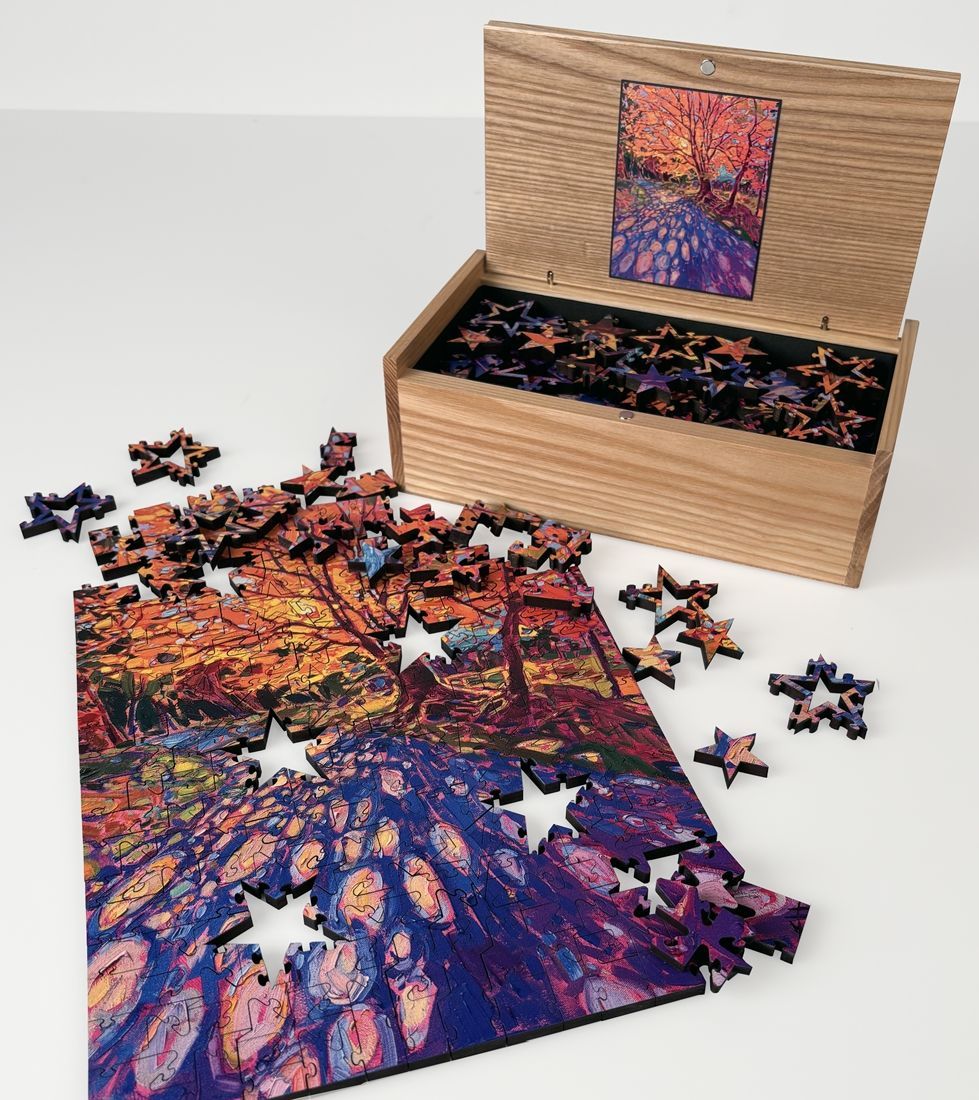 Starz Puzzles - Erin Hanson 