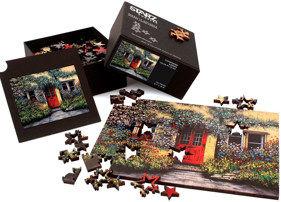 Starz Puzzles - Color By Feliks 