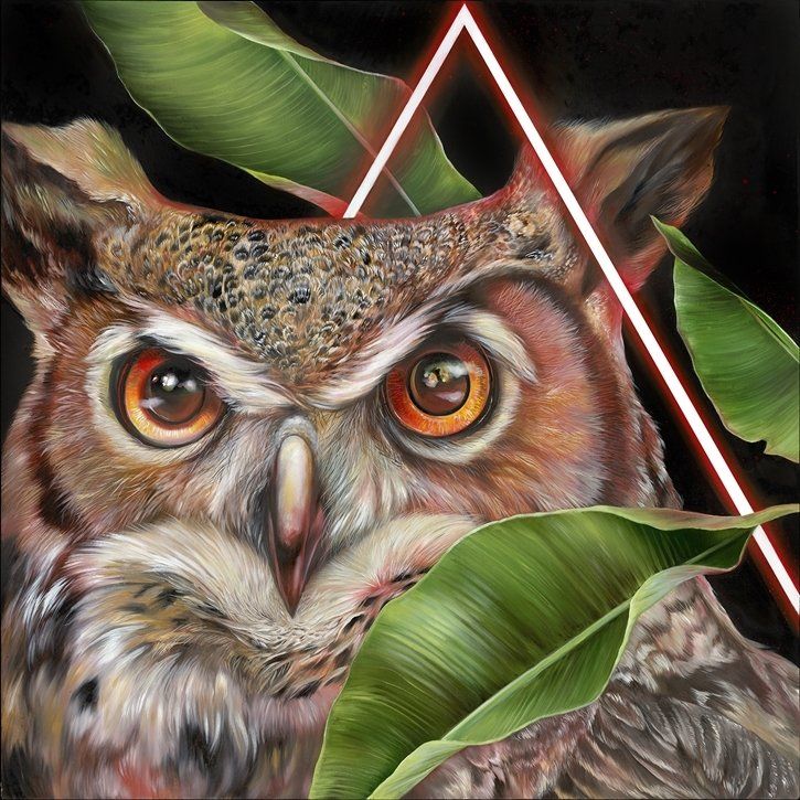 A painting of an owl with a triangle in the background