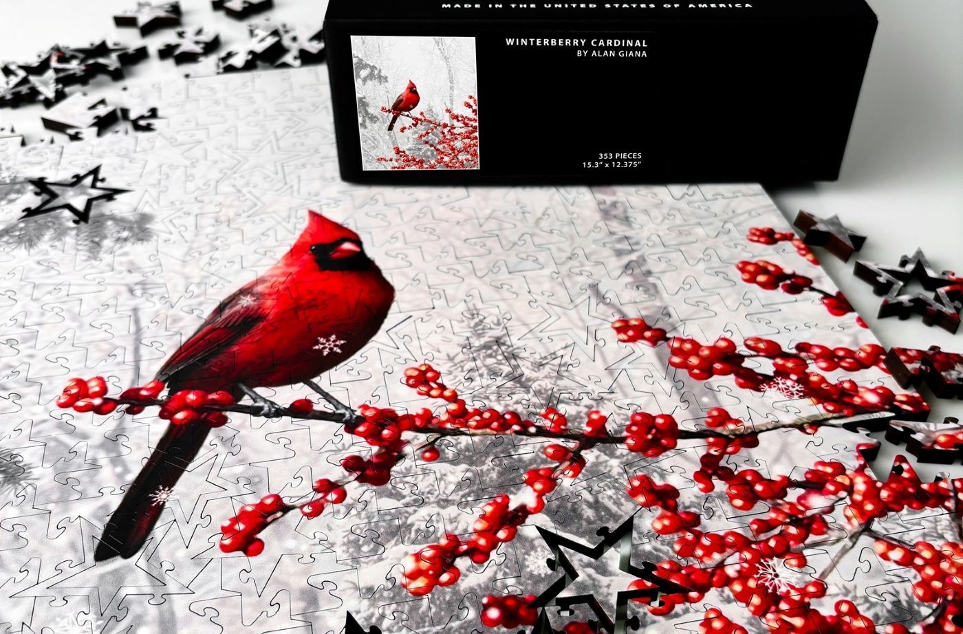 Snata's Approval Puzzle