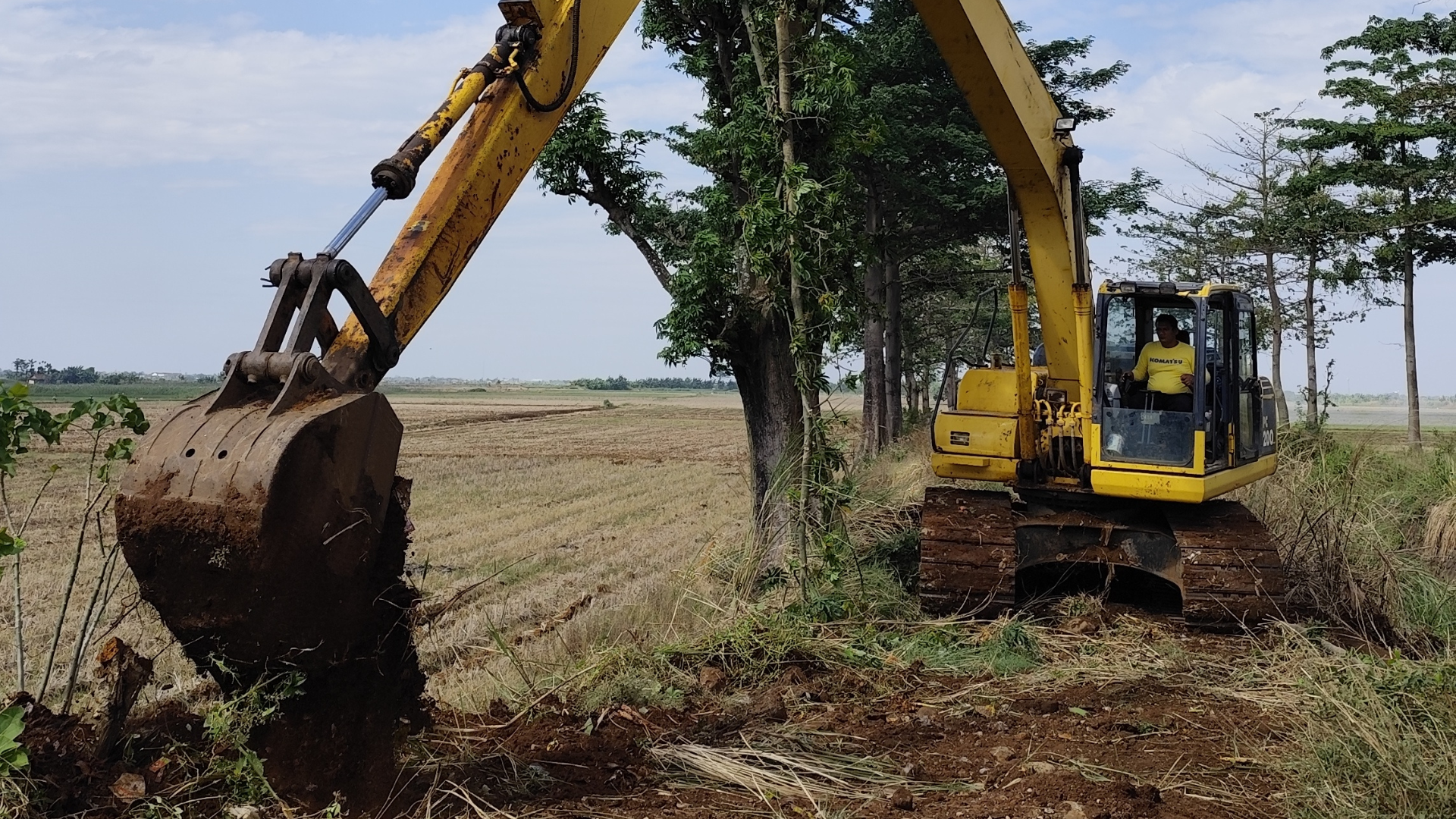 A yellow excavator clearing land near trees under a bright sky.