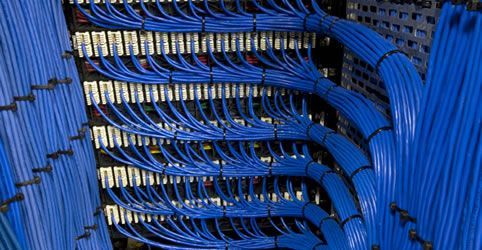 A bunch of blue wires are connected to each other in a server room.