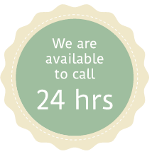 rosette 24 hours