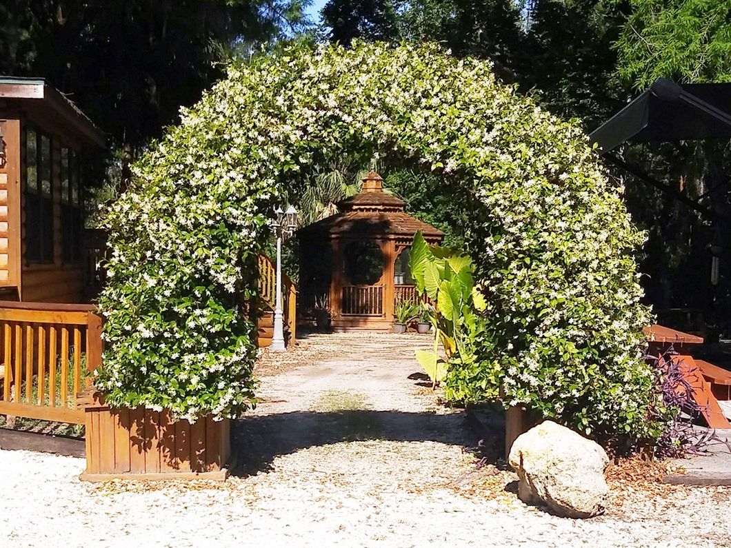a wooden gazebo is behind a lush green archway
