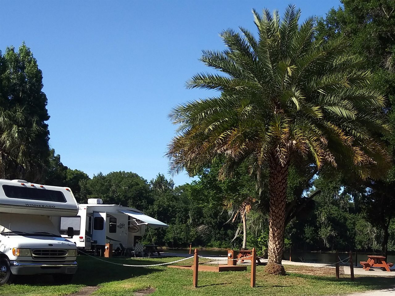 a rv parked in a grassy area with palm trees