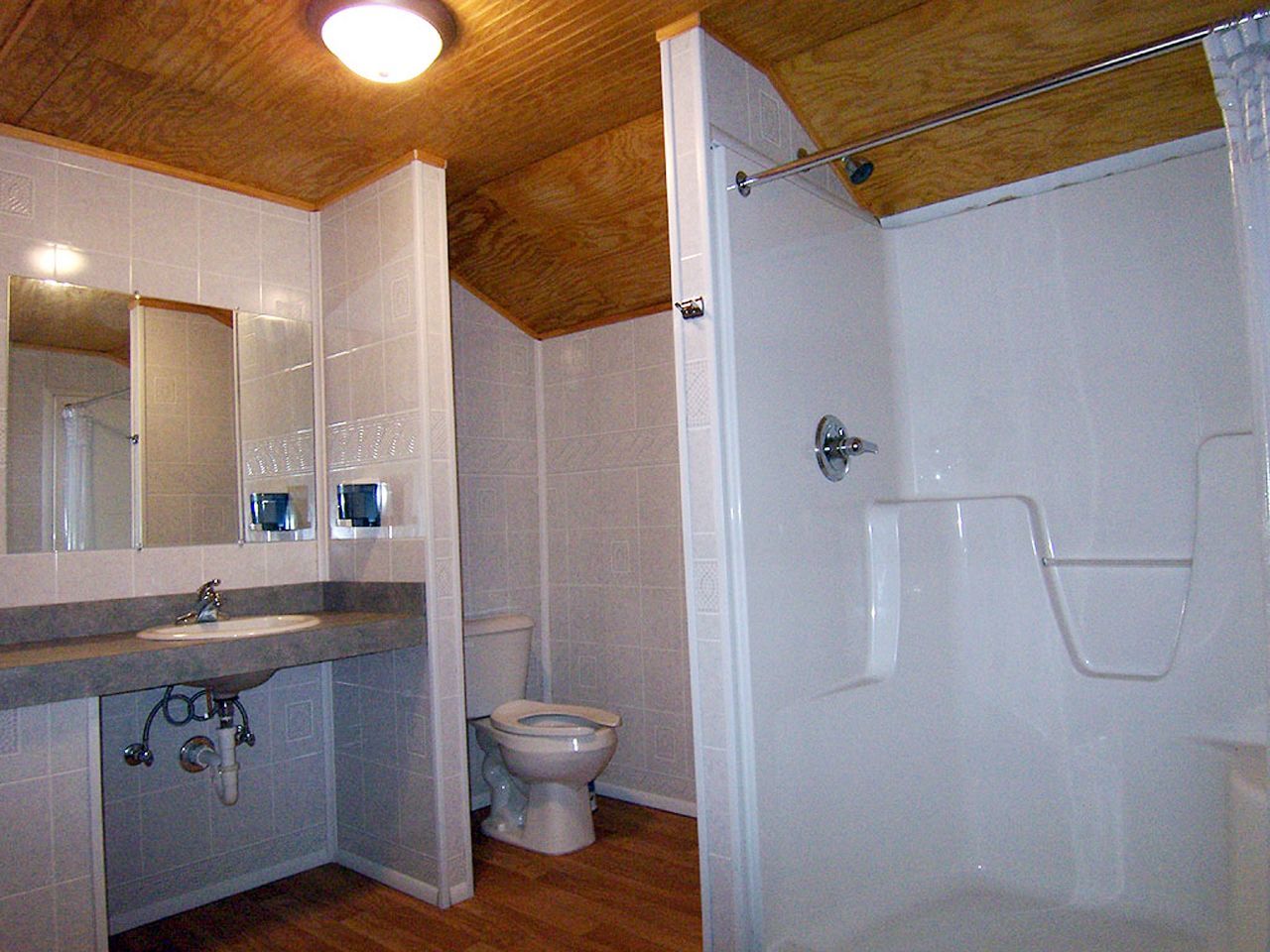 a bathroom with a toilet a sink and a shower