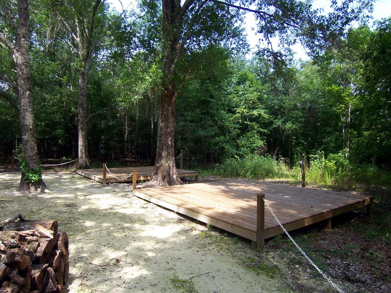 a wooden deck in the middle of a forest surrounded by trees .