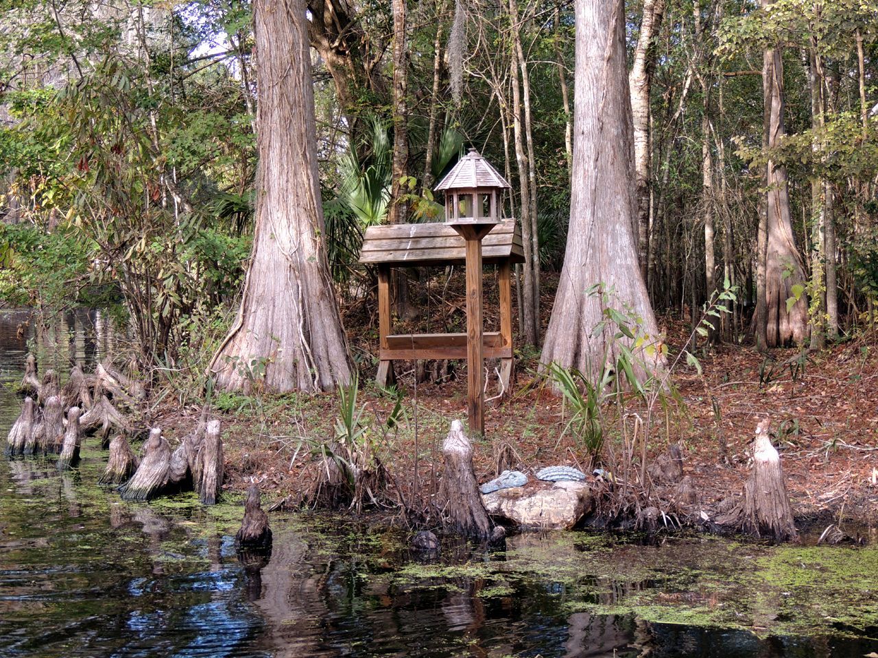 a birdhouse in the middle of a forest next to a body of water .