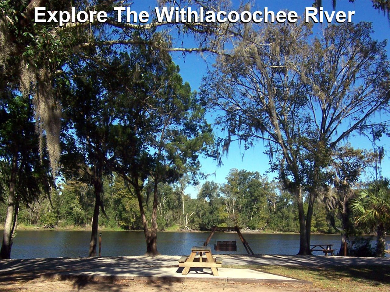 a picture of a river with the caption explore the withlacoochee river