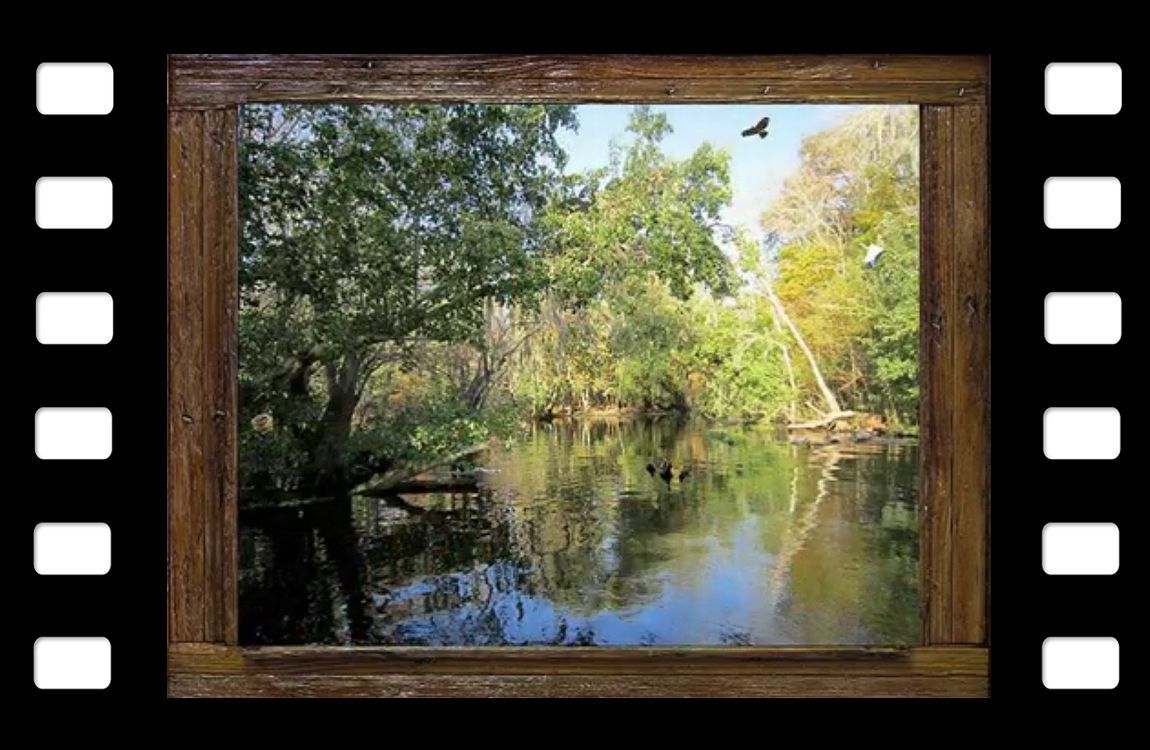a film strip with a picture of a river and trees