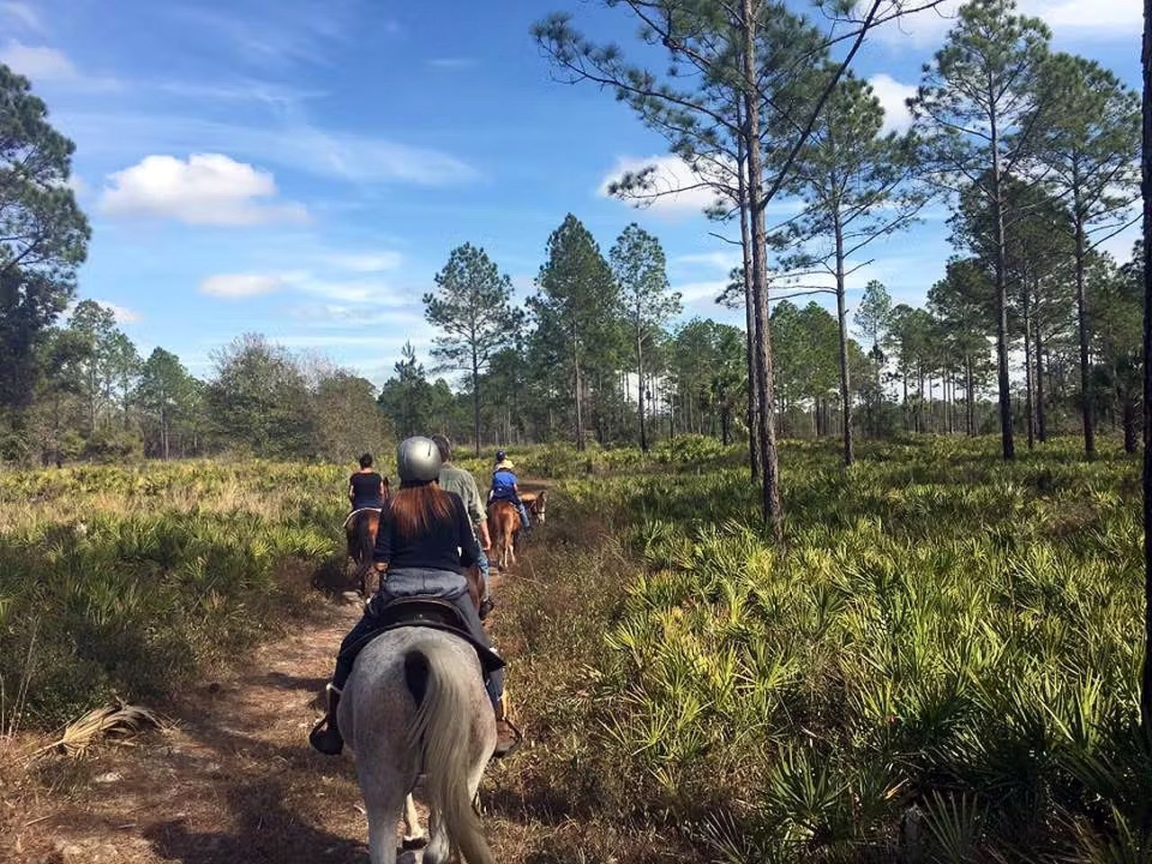 a group of people are riding horses through a field .