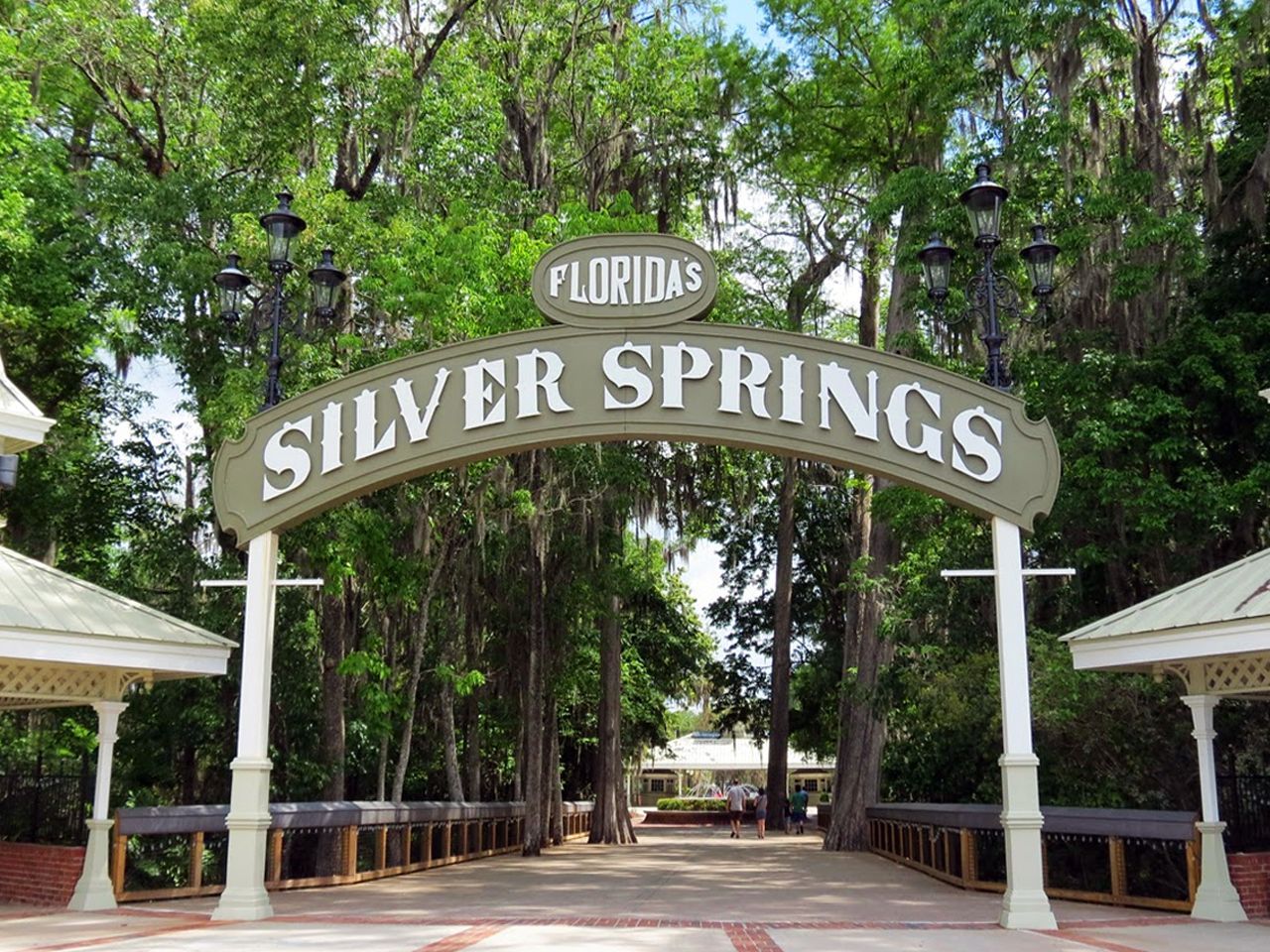 a sign for silver springs in florida is surrounded by trees .