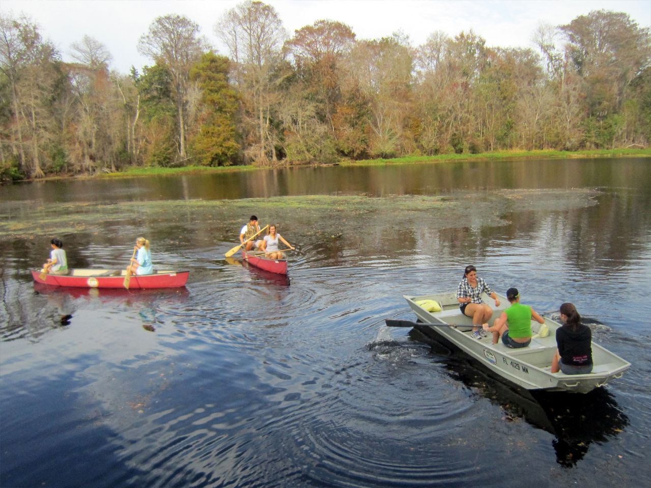 a group of people are rowing boats on a lake .