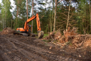 Excavator clearing trees for a new organization in Cheyenne area.