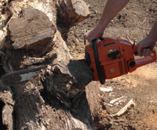 Man removing Stump Removal in land fill in Cheyenne area.