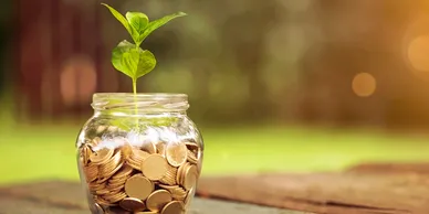 A plant is growing out of a jar of coins.