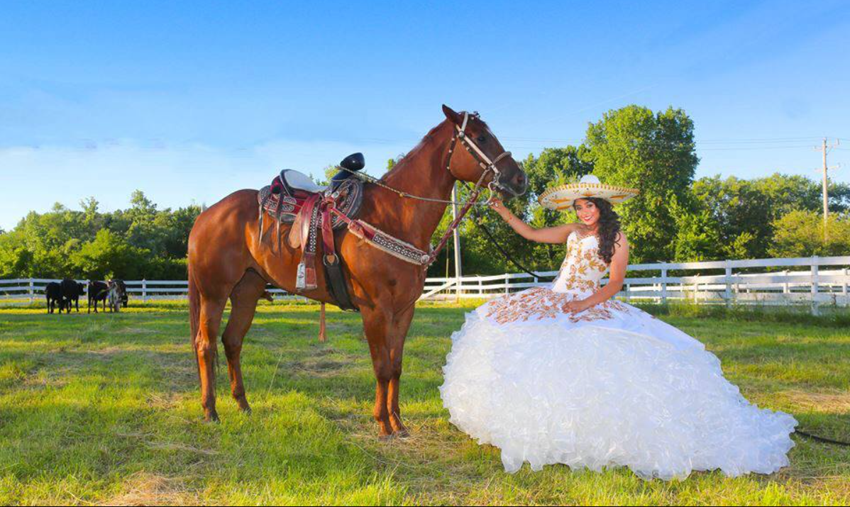 15th Birthday Cake — Bensenville, IL — Monty’s Elegant Banquets