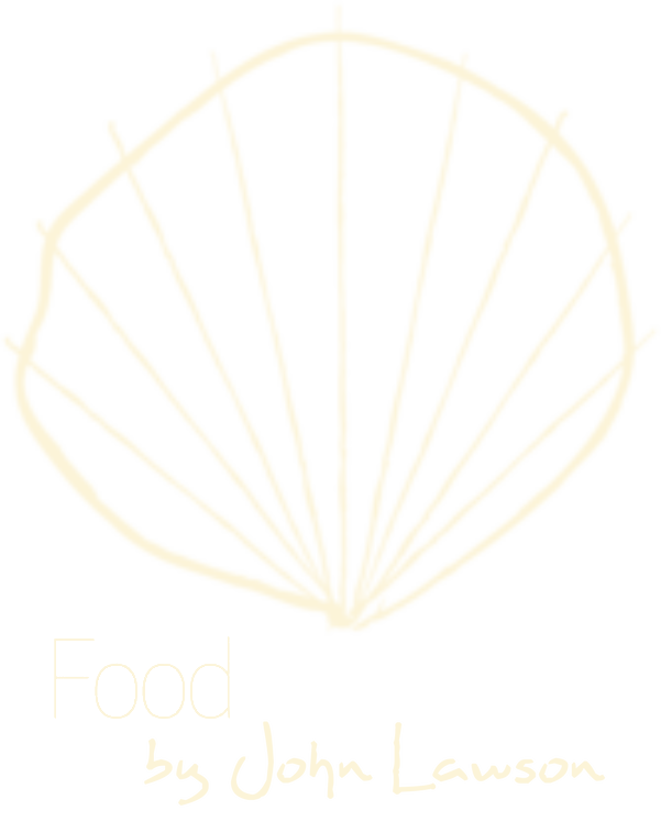 A drawing of a sea shell on a white background.