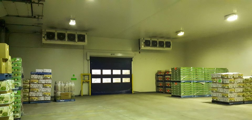 A refrigerated warehouse with stacks of boxes. A closed loading dock door is centered.