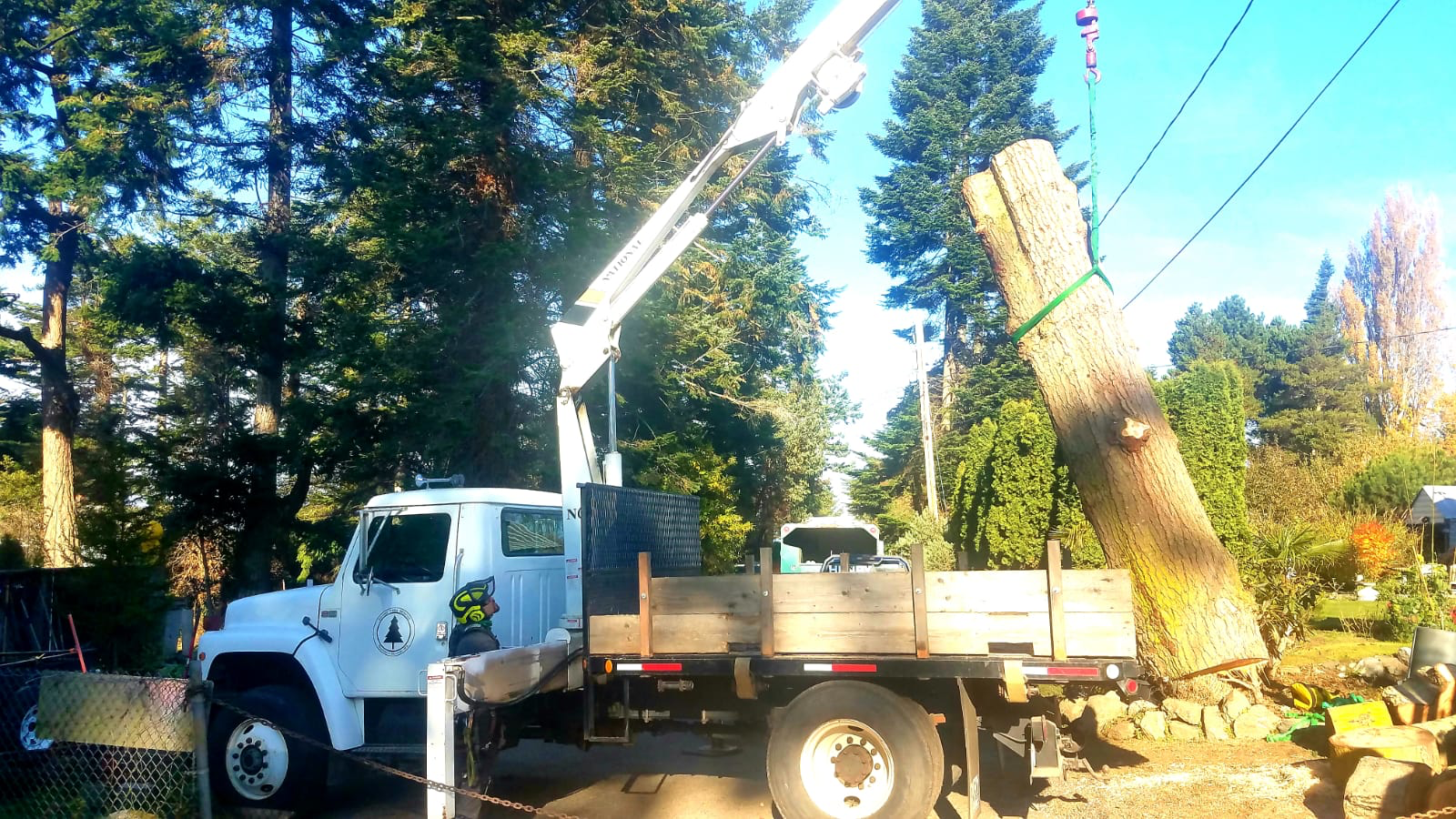 Chris Maragulia Henry Tree Service crane