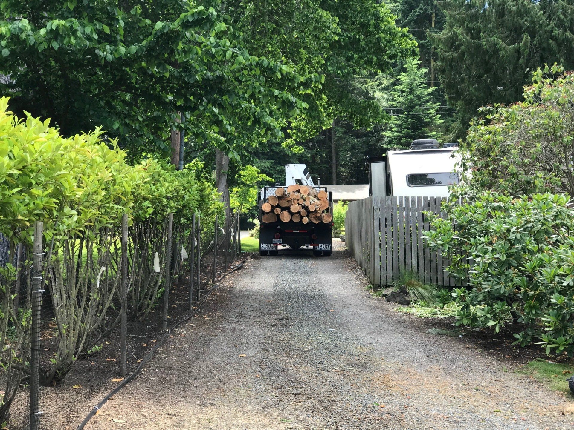 Henry Tree Service crane